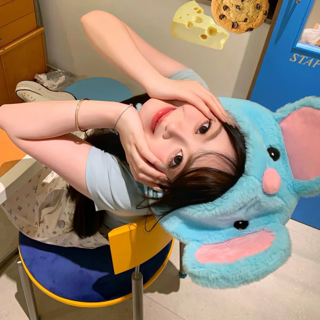 有趣的小兔子